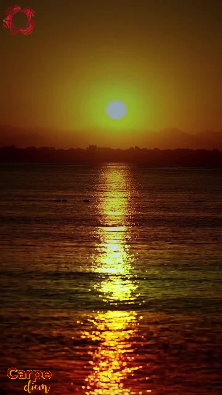 @Carpediem_75