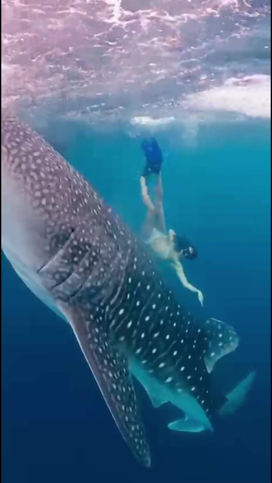 @Norah🪩🐋