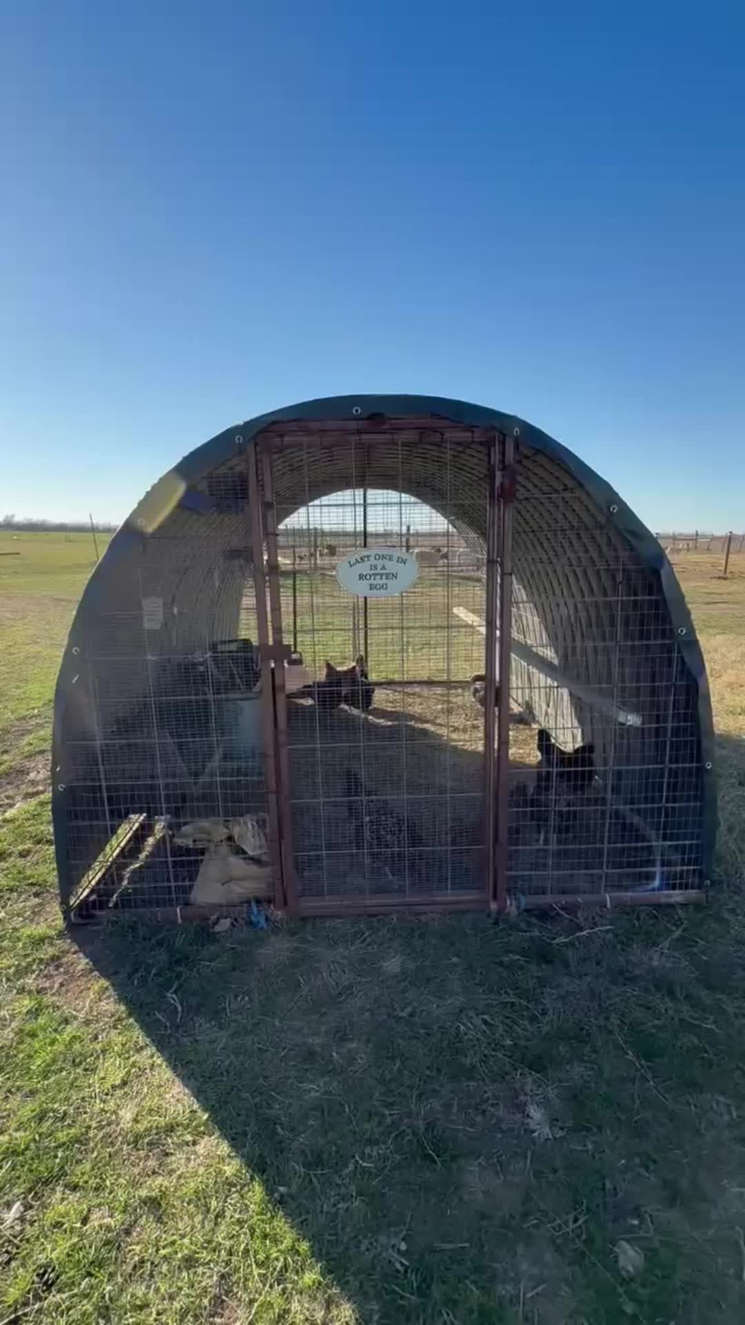 @Brewer Farms TX