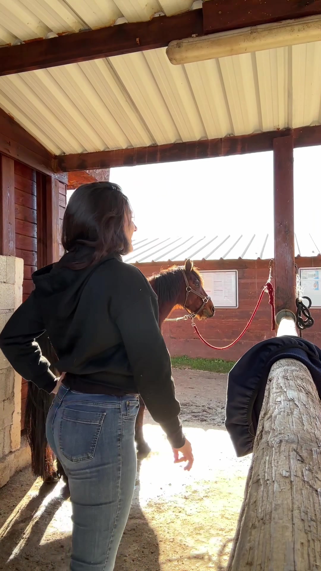 @Hannah&ensp;ost&eacute;opathie&ensp;animale&ensp;🐎