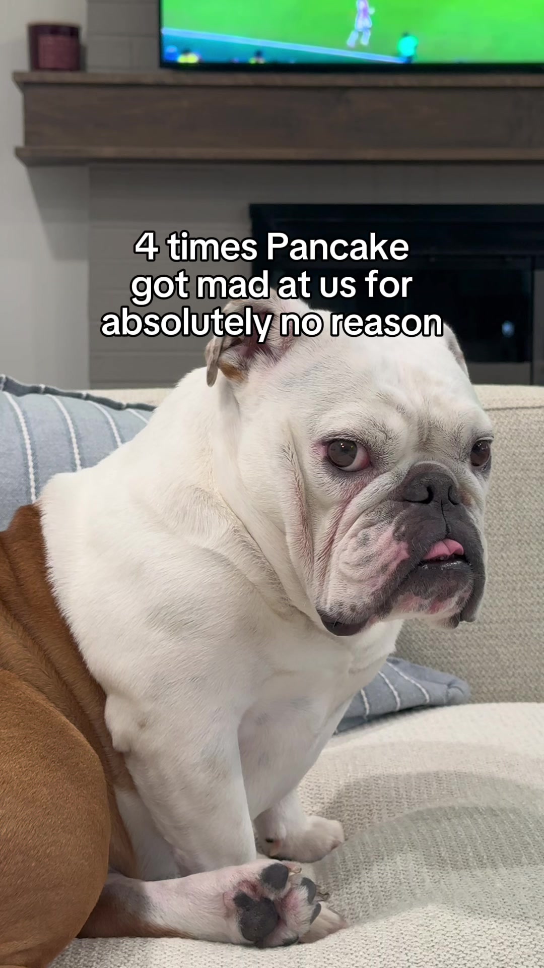 @Pancake 🥞
