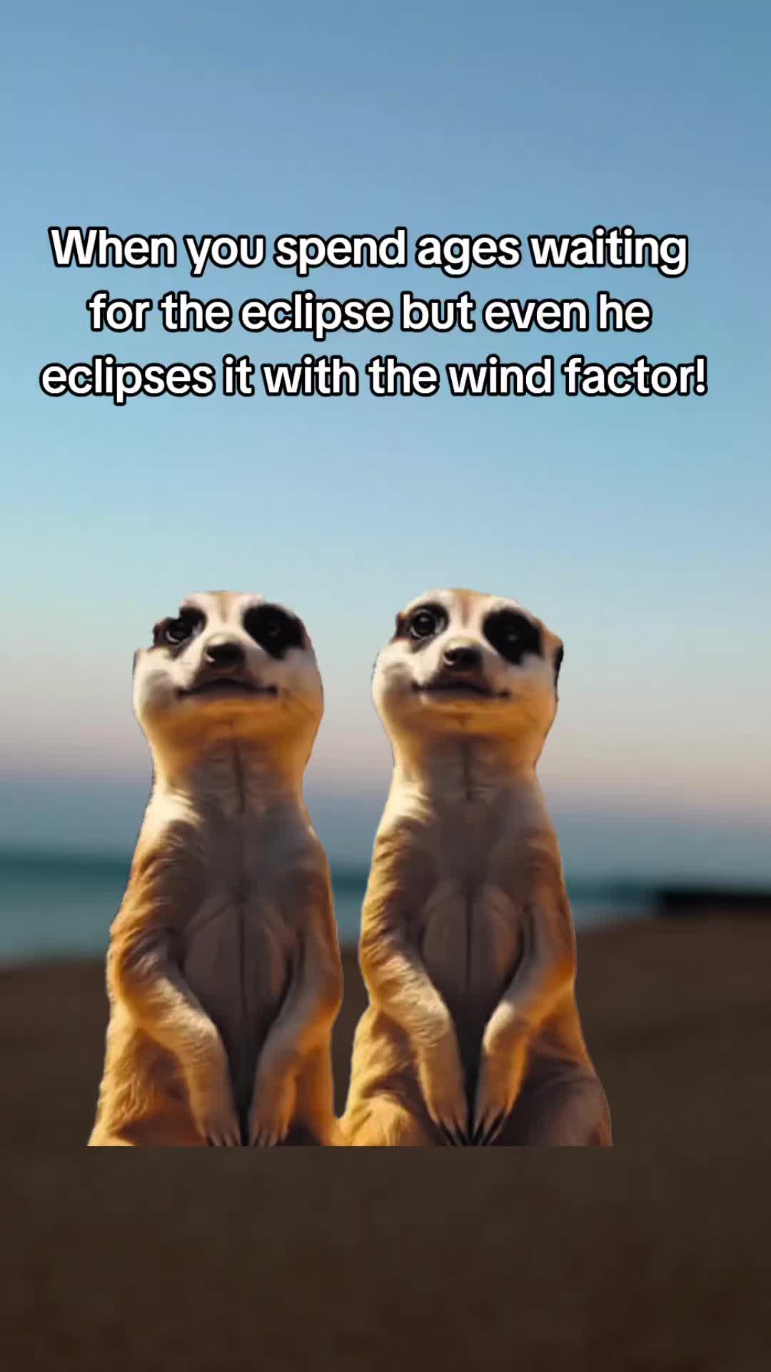 @nikki