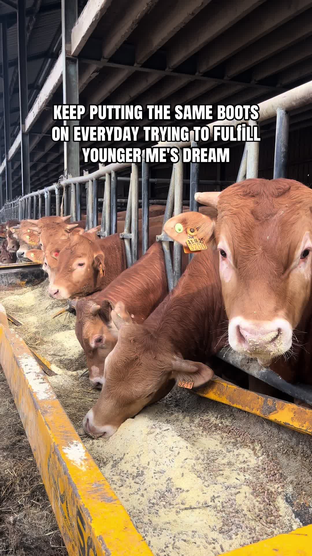 @samuels_farmlife🌾