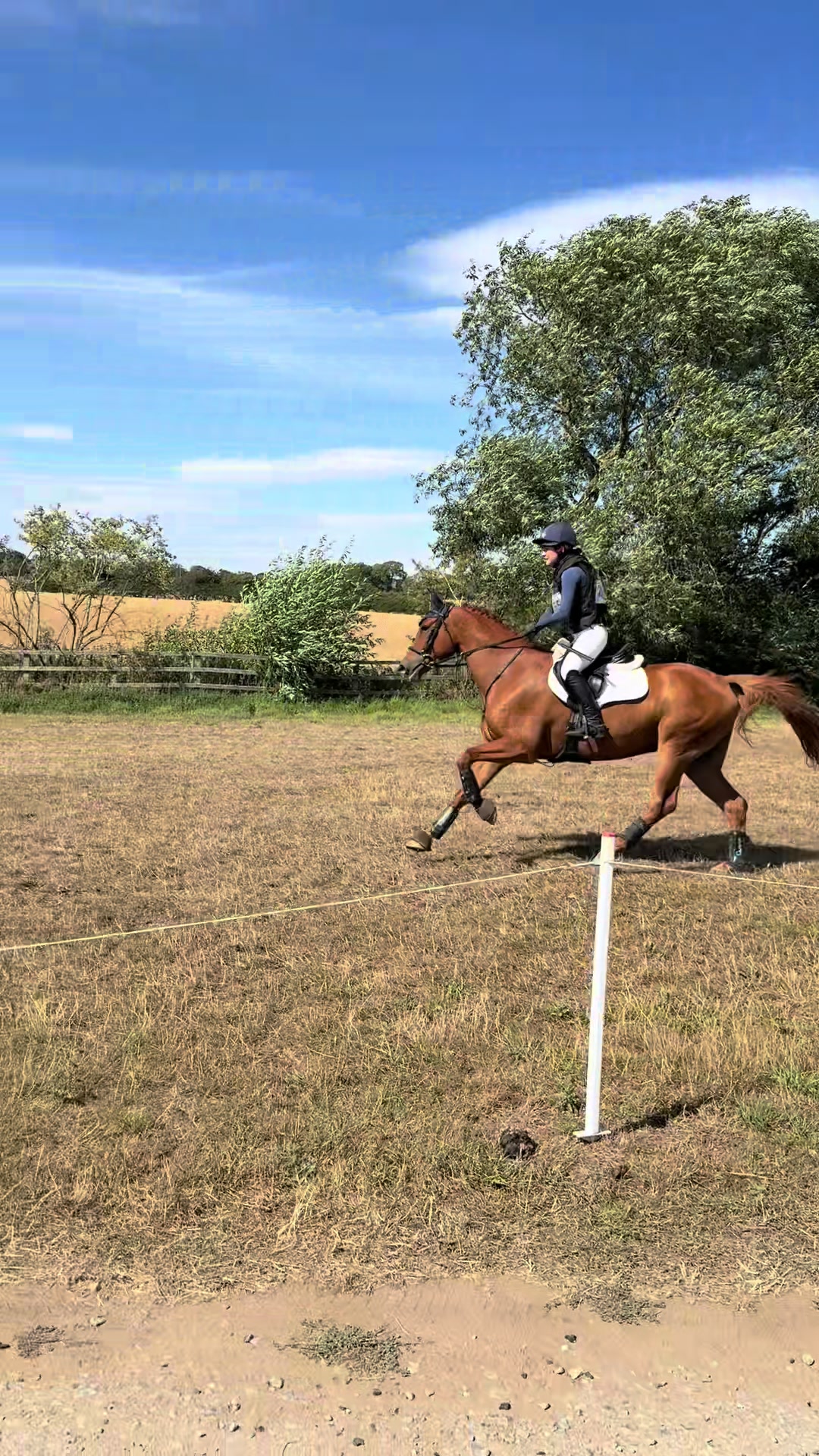 @cedequestrian