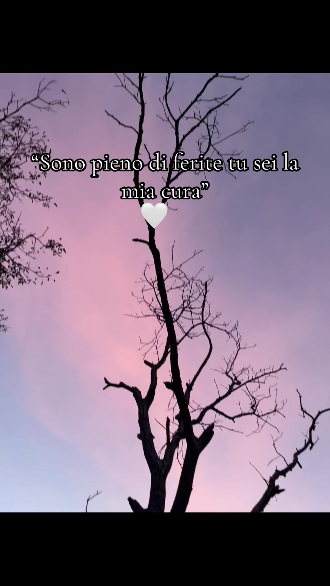 @_1919191919_