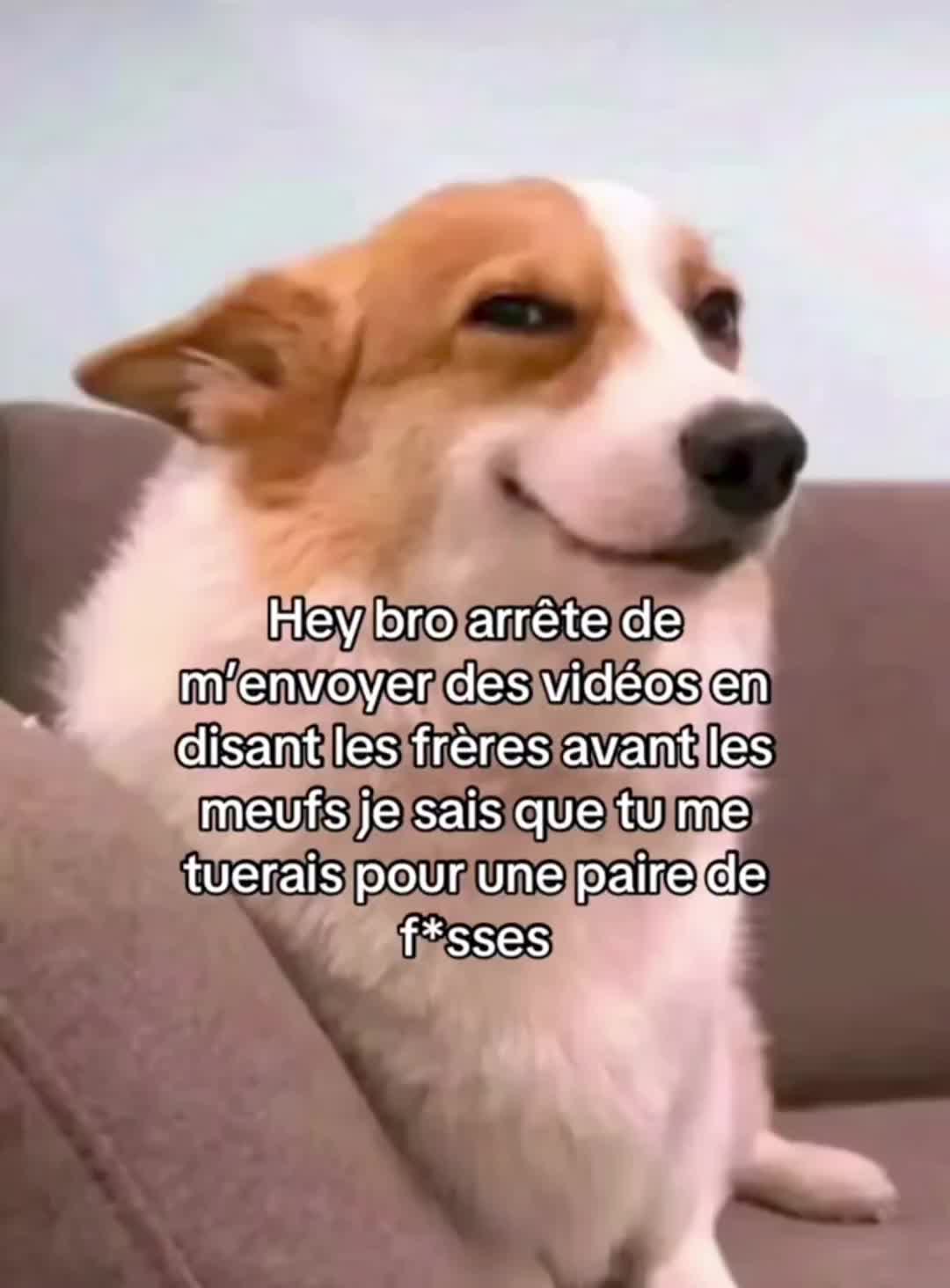 @Fnafy_VR