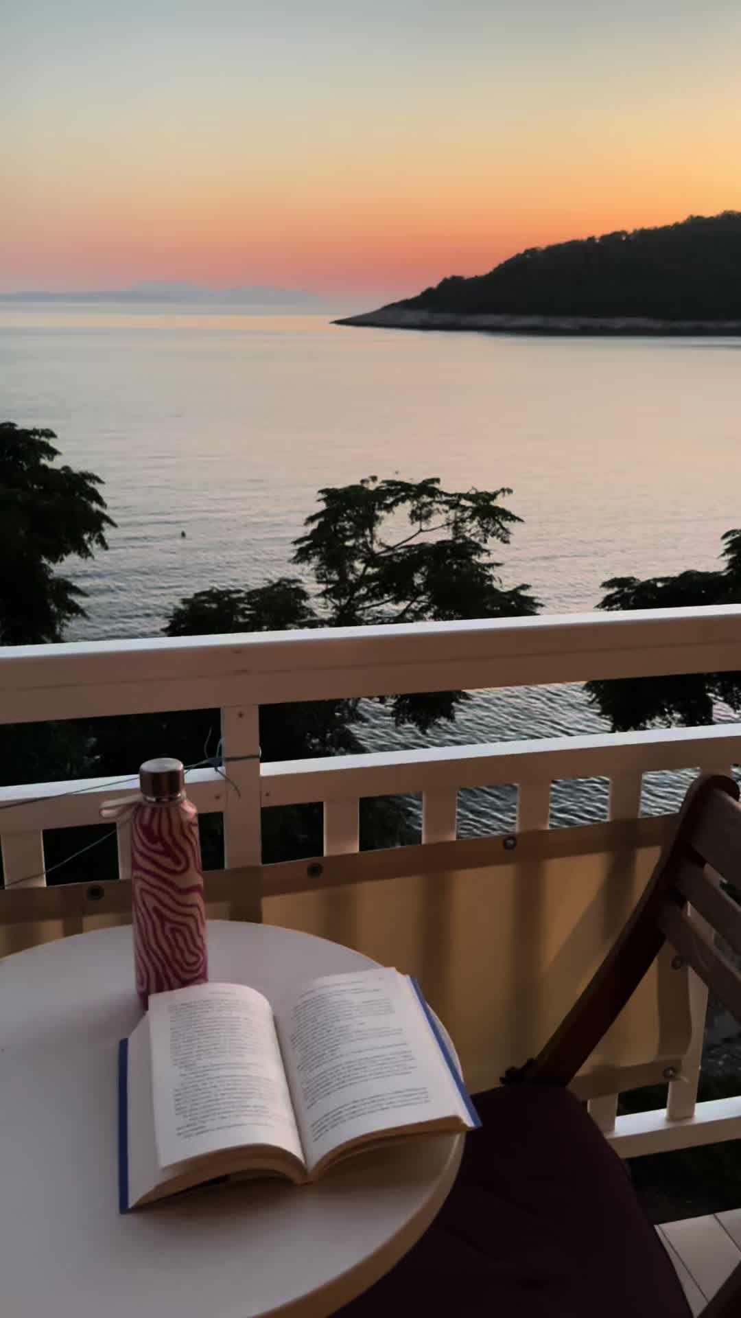 @Sofia Pires