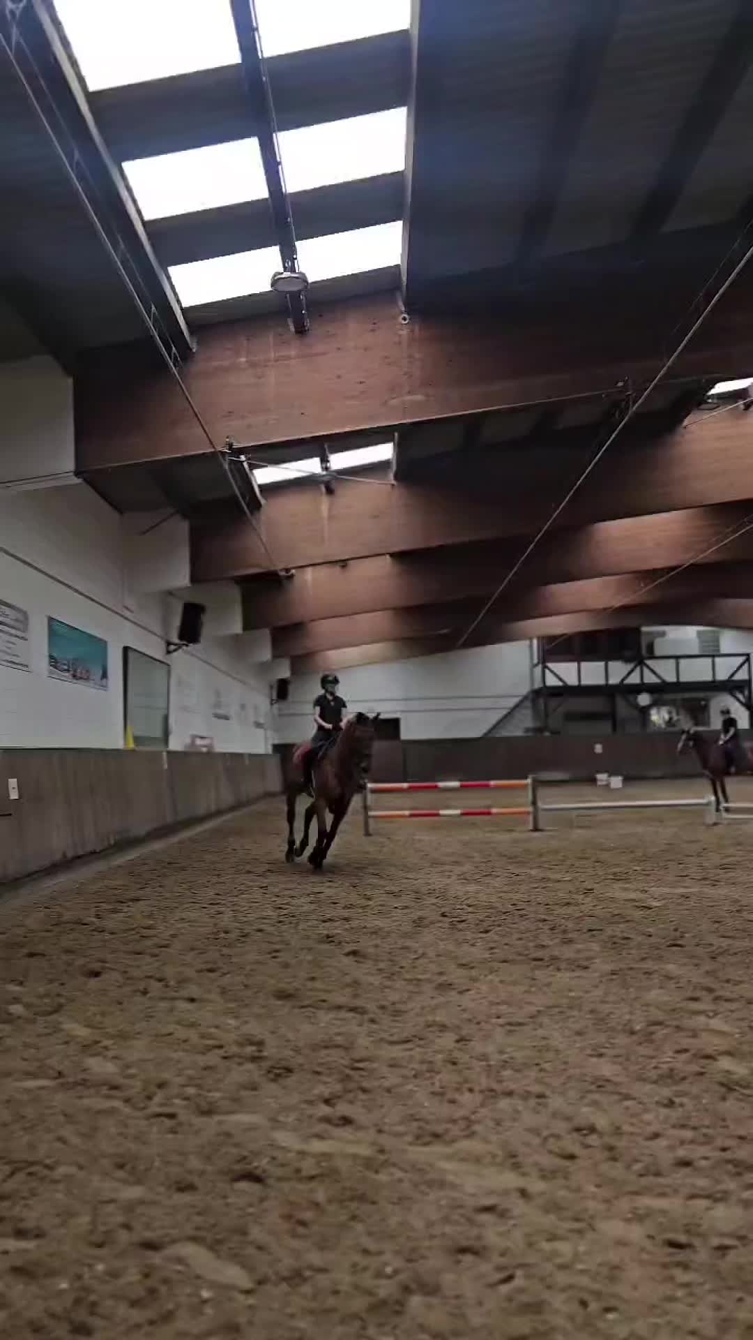 @🐎