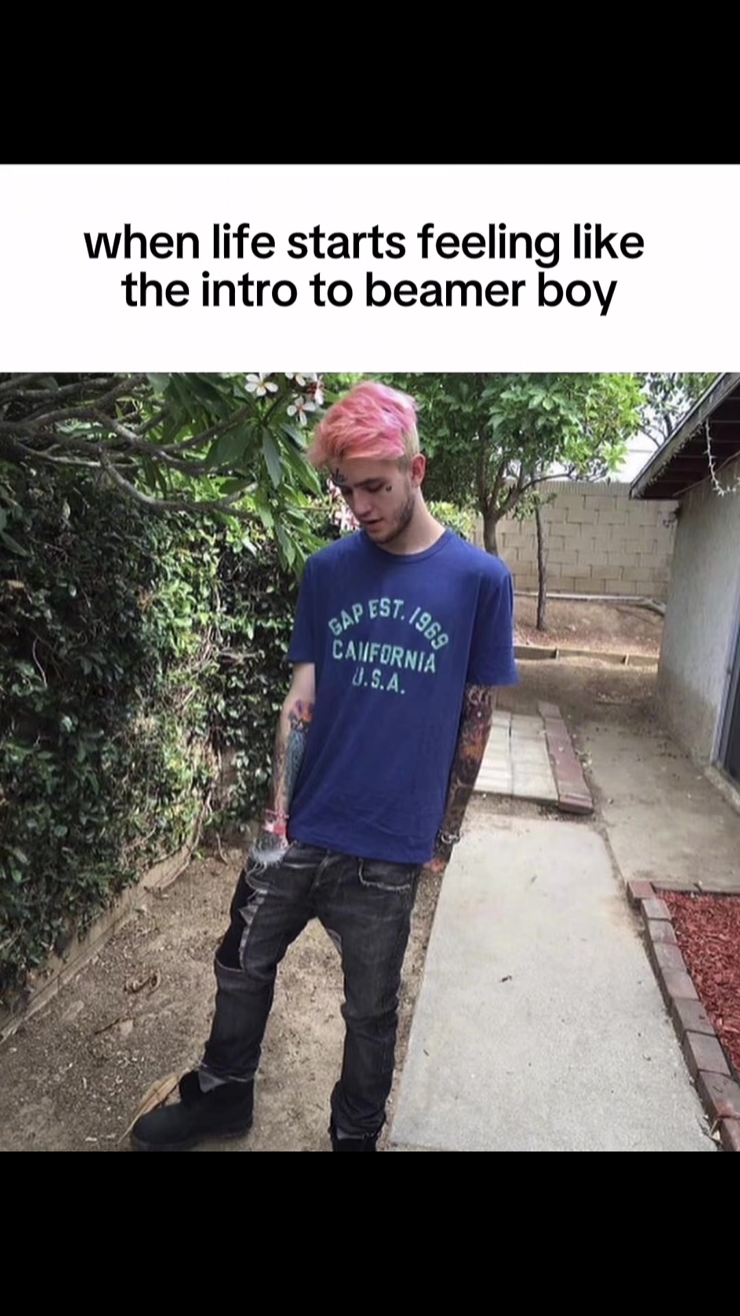 @DevotionX