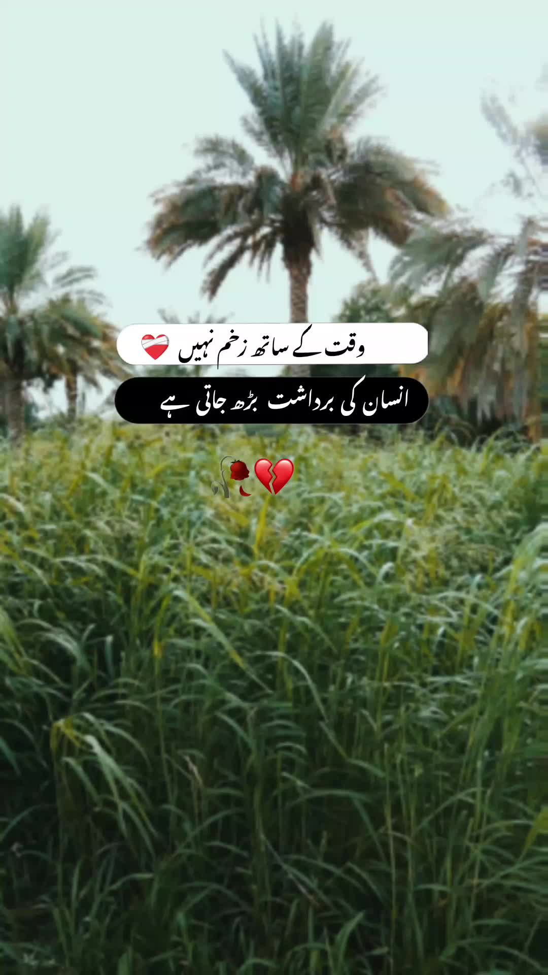 @🖤☬ ٹوٹا دِل ☬🖤
