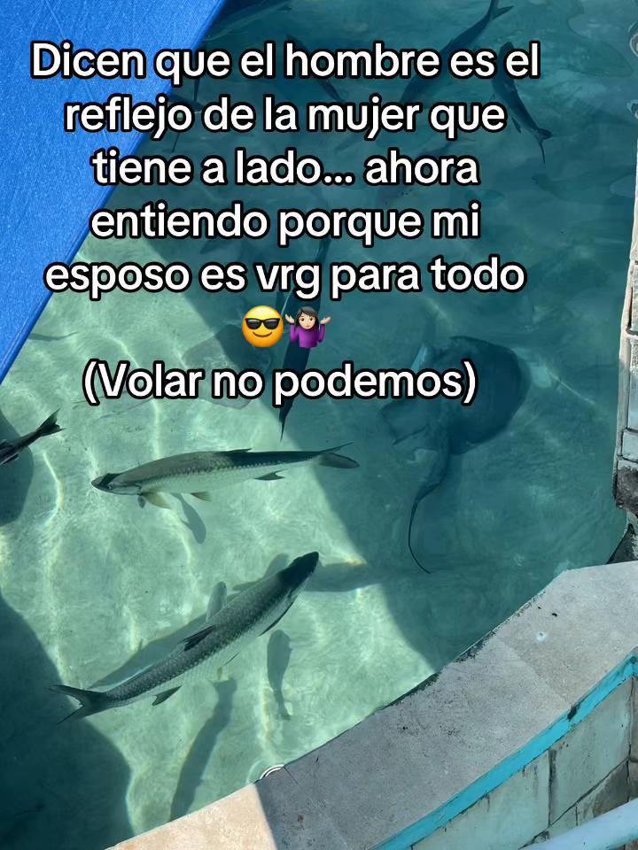 @Maiitee Mooraalees