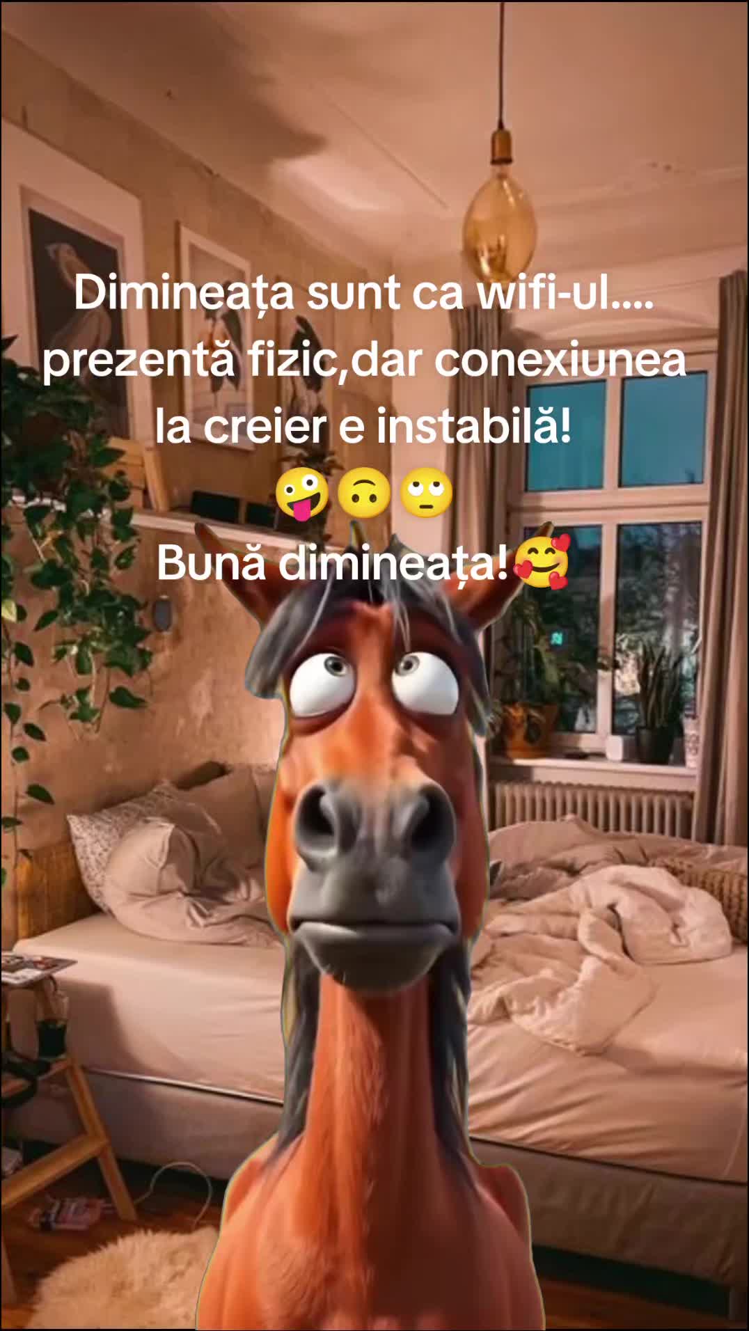 @Carmen Buhinschi