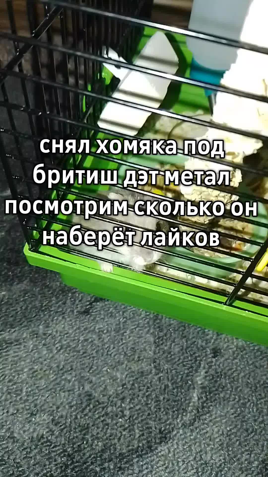 @🇬🇧 Британский Металлист 🇬🇧
