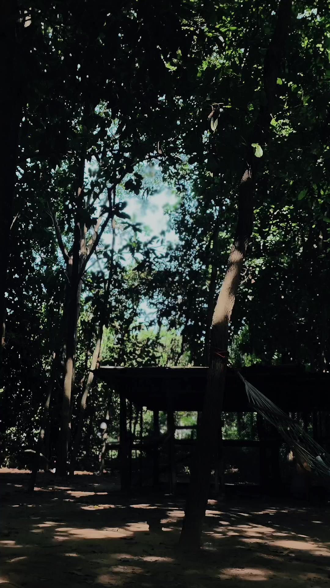 @Pang Lalita🤍