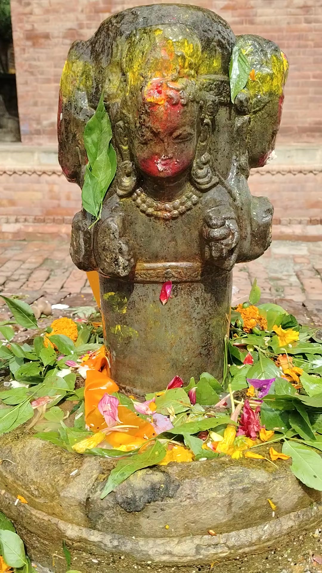 @Renu Mandal845