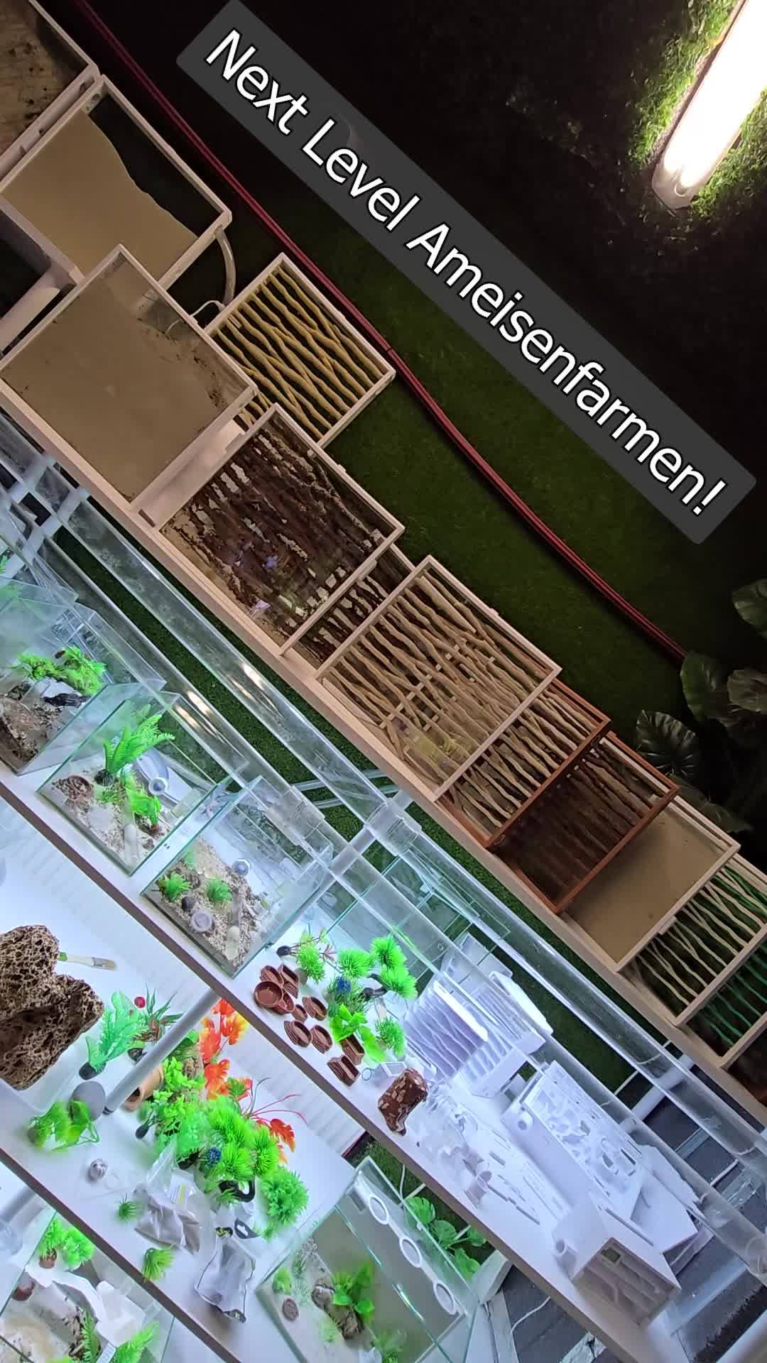 @MyAnts.de