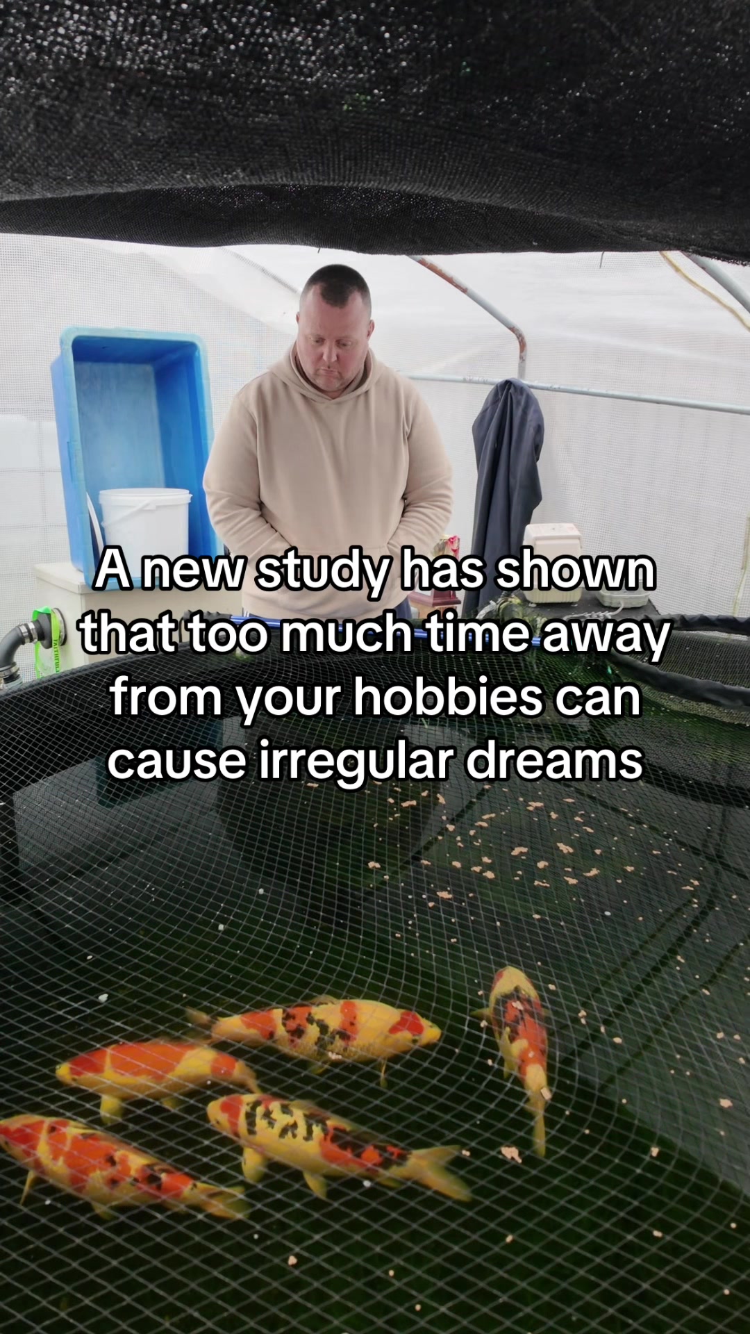 @Koi Competitions