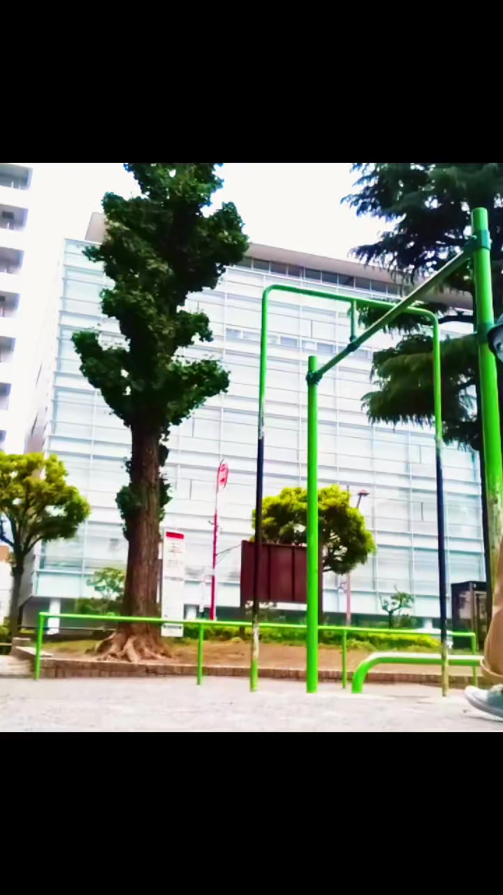 @燃焼系🔥鯉のぼりWalker