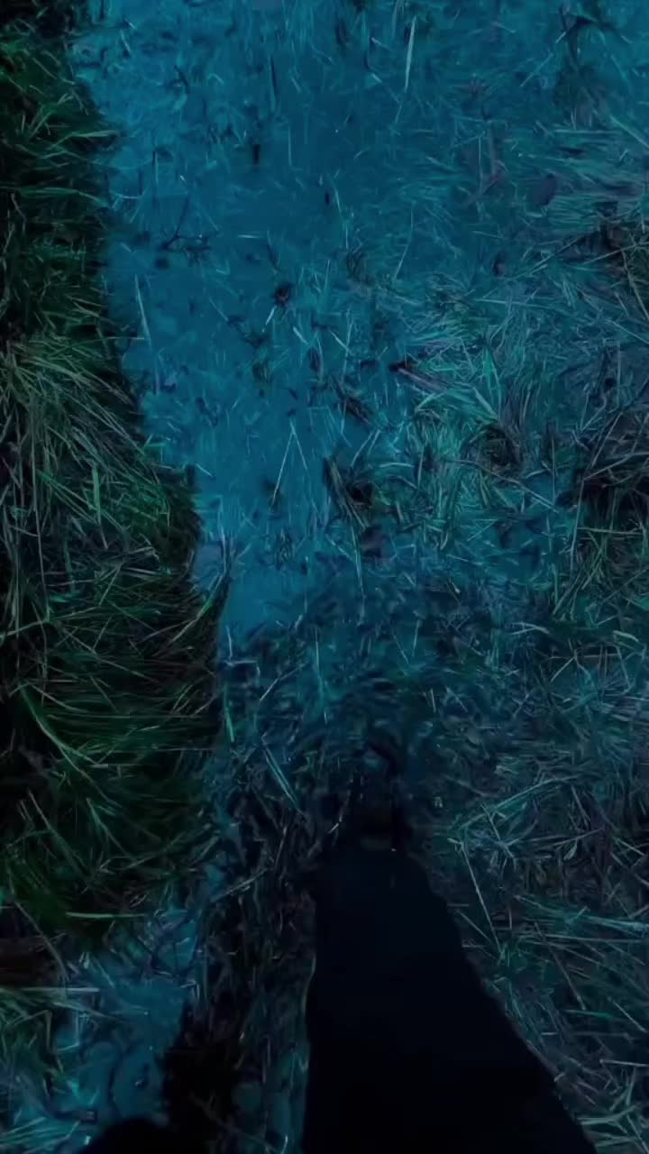 @frasi___di___vita___