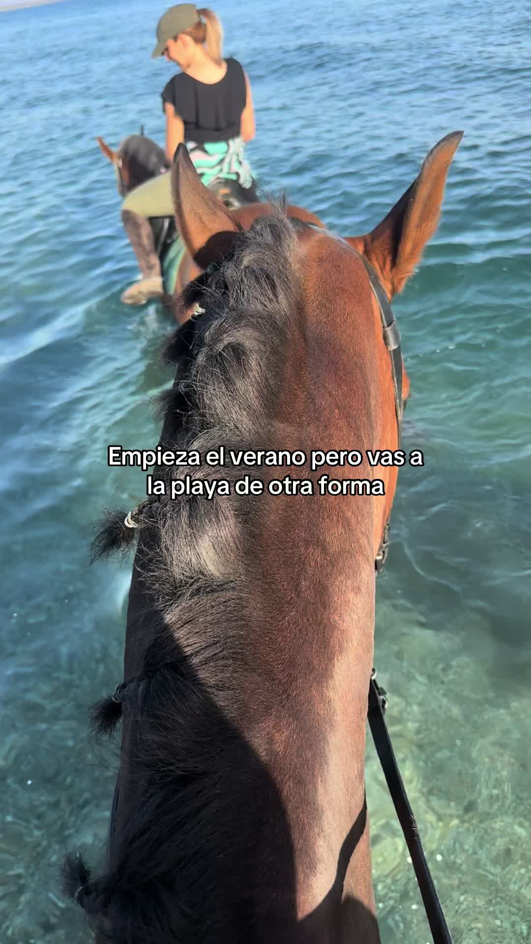 @Ana