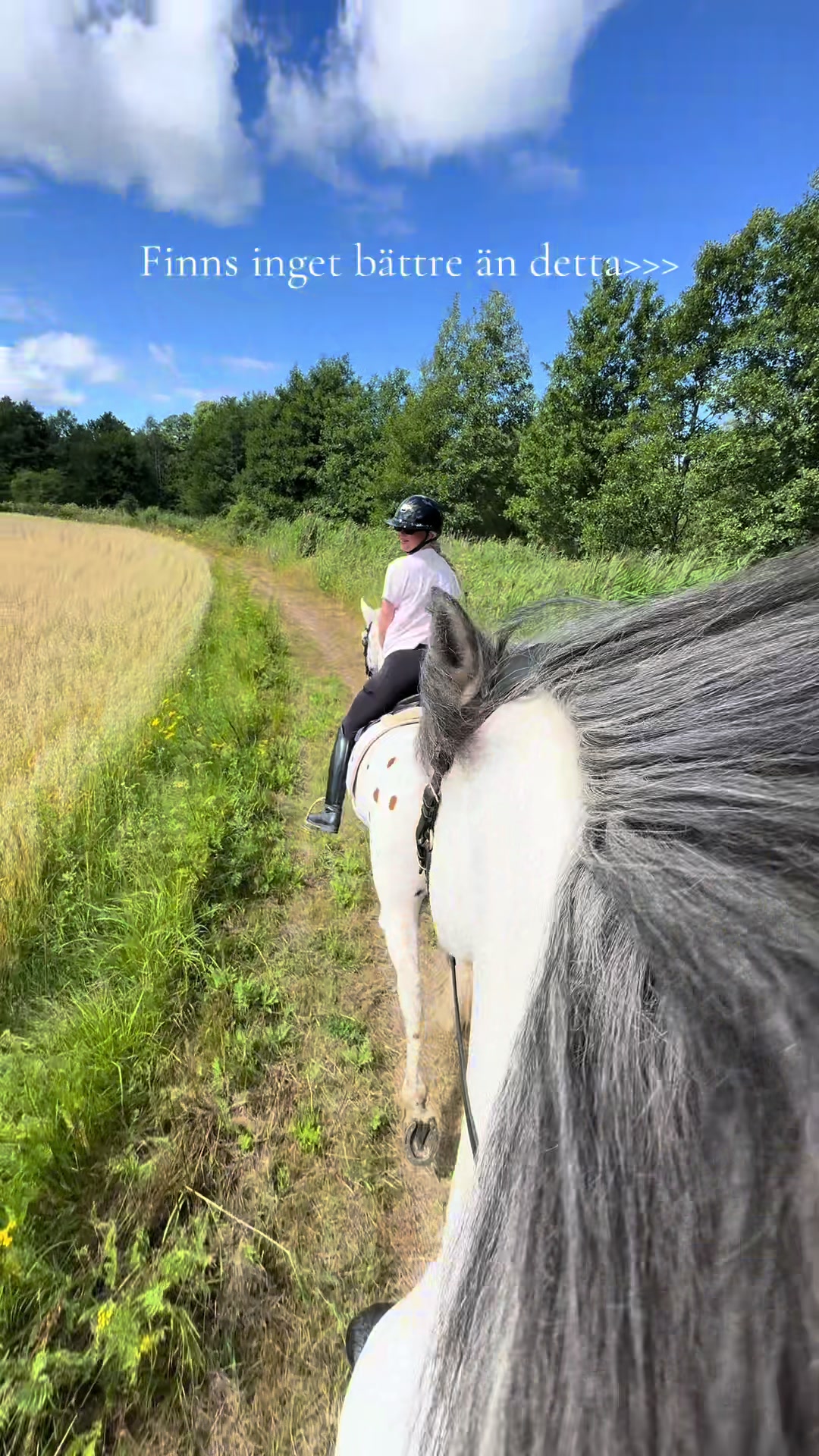 @Izabellasvarddressage