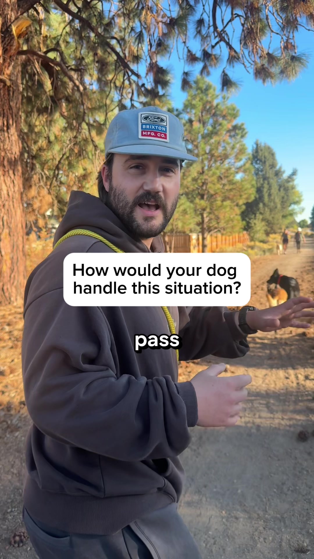 @forthedogs