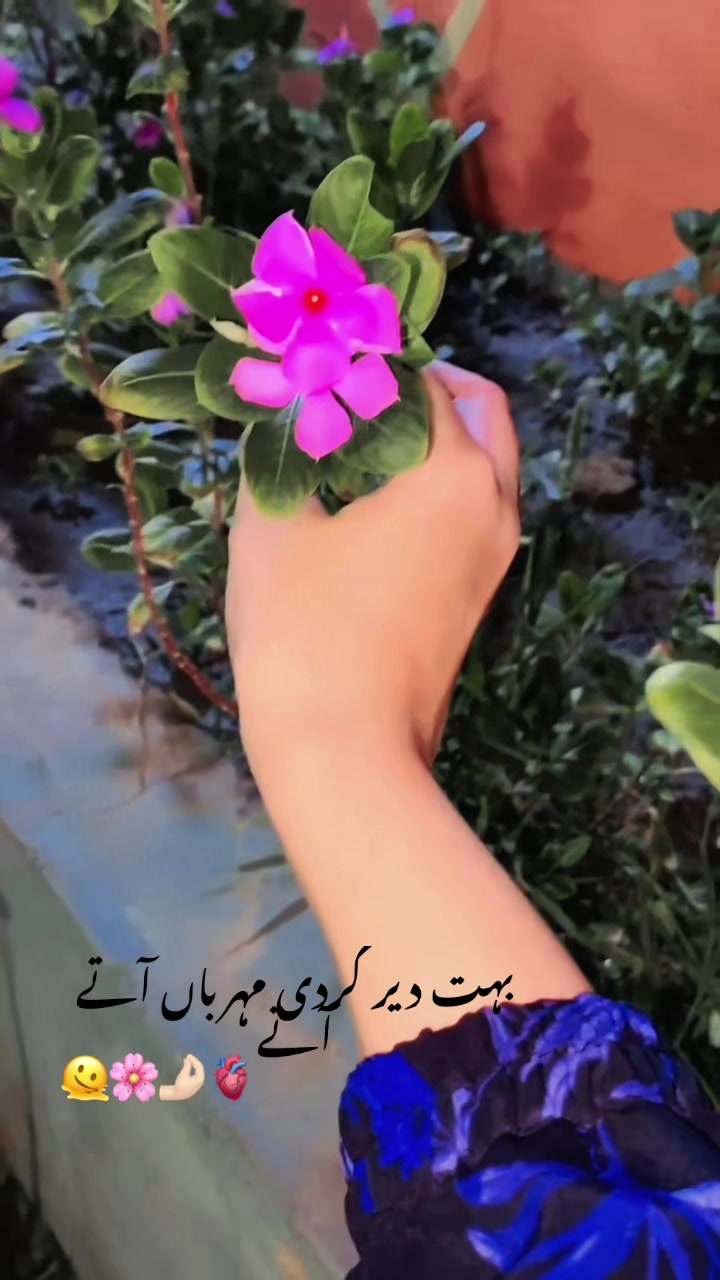 @Muqeeta_islam
