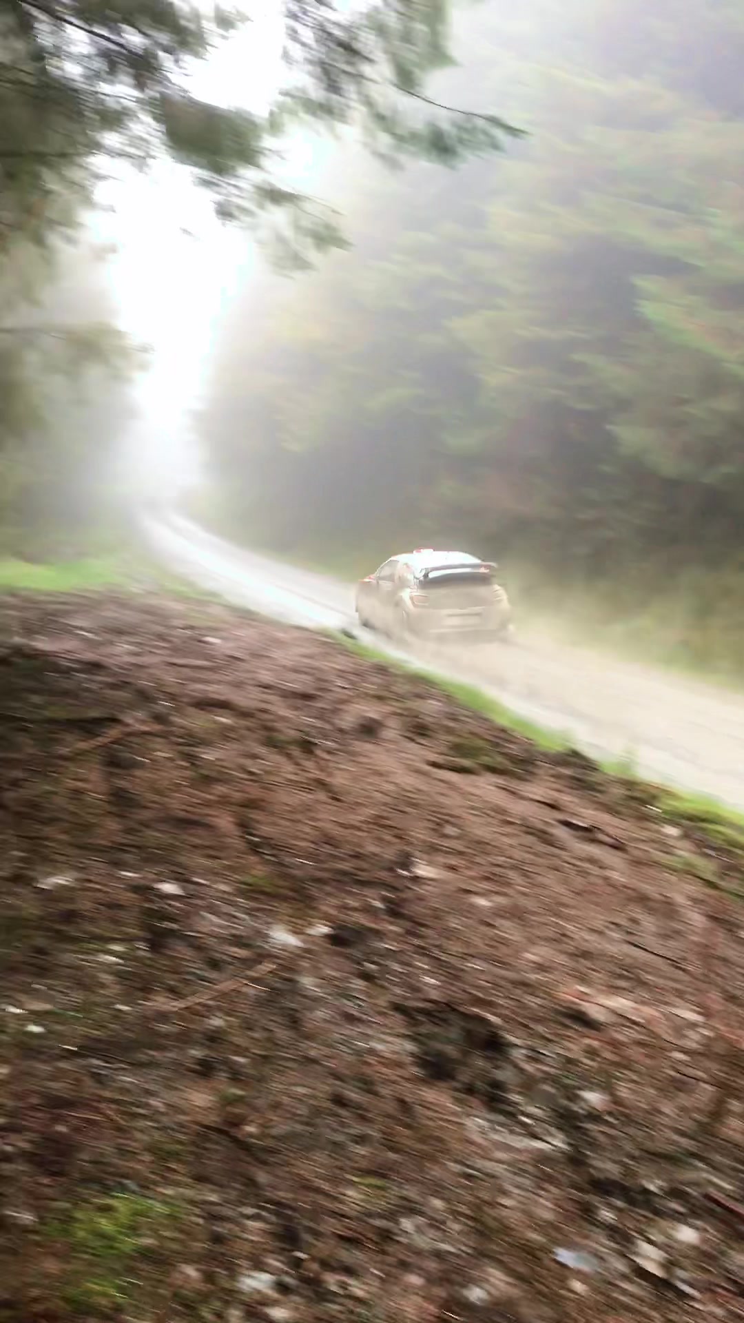 @Rally__Hub