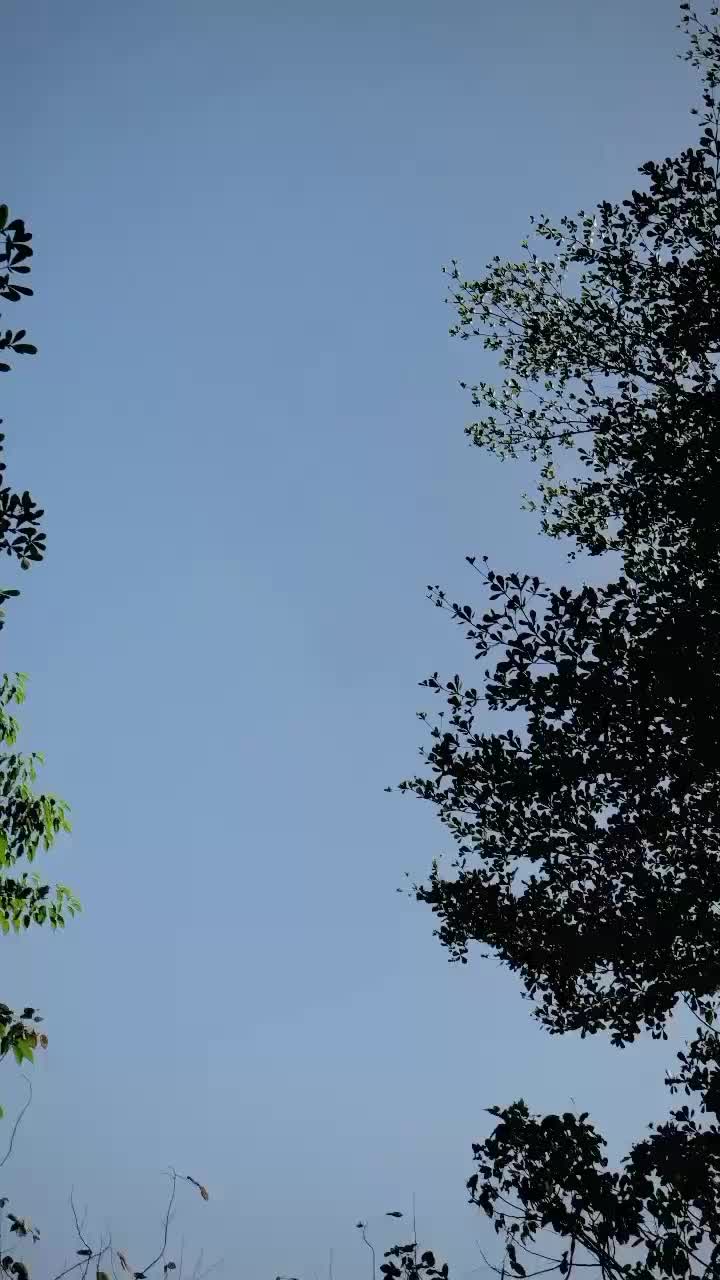 @درویش لوگ
