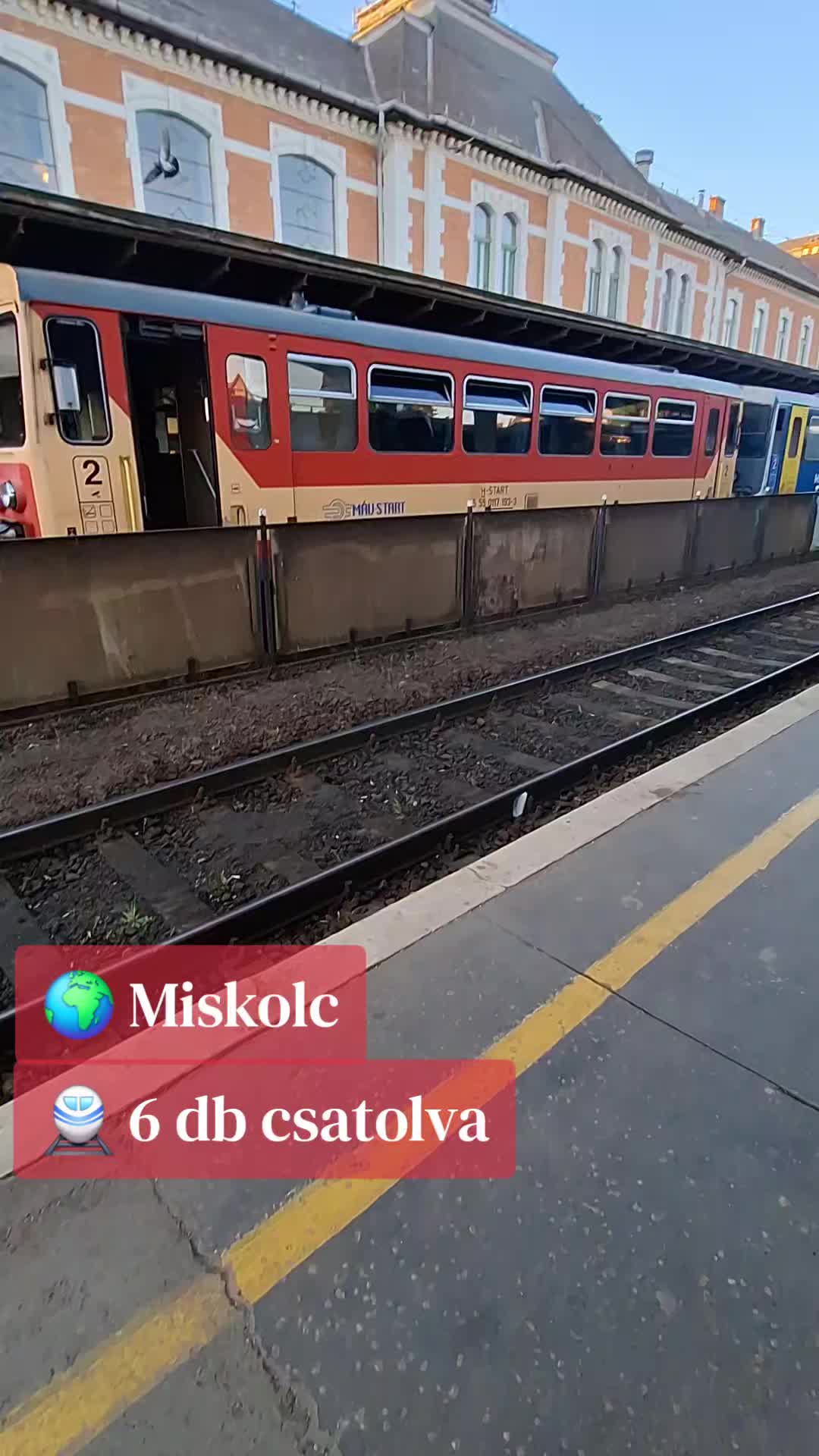 @PTF - Public Transport Fan