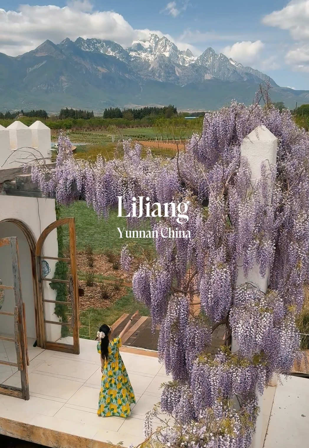 @wisteria_voyage