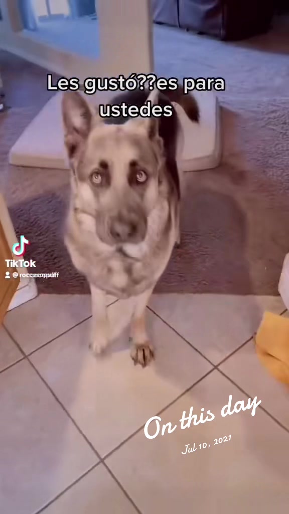 @Roccocopuff