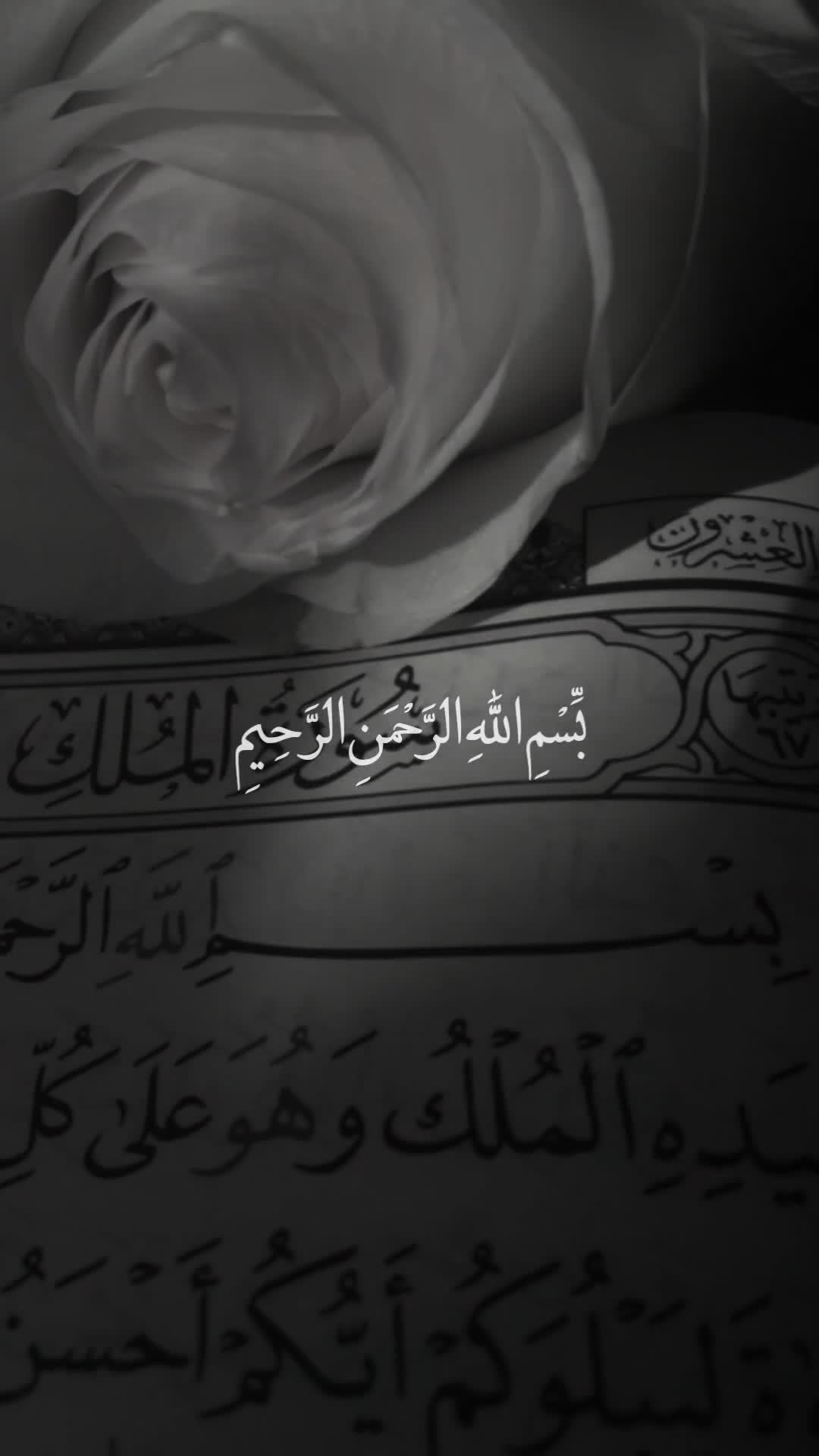 @قائد الغُرِّ المُحَجَّلين