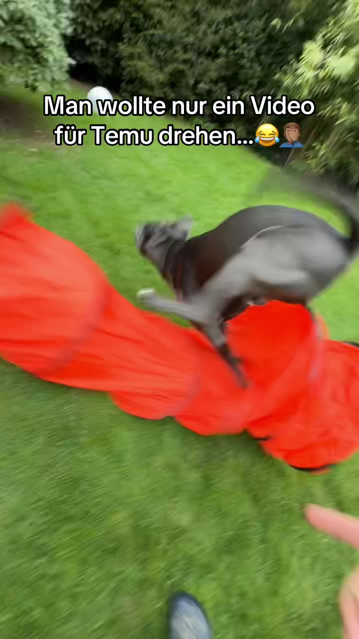 @luca29.7