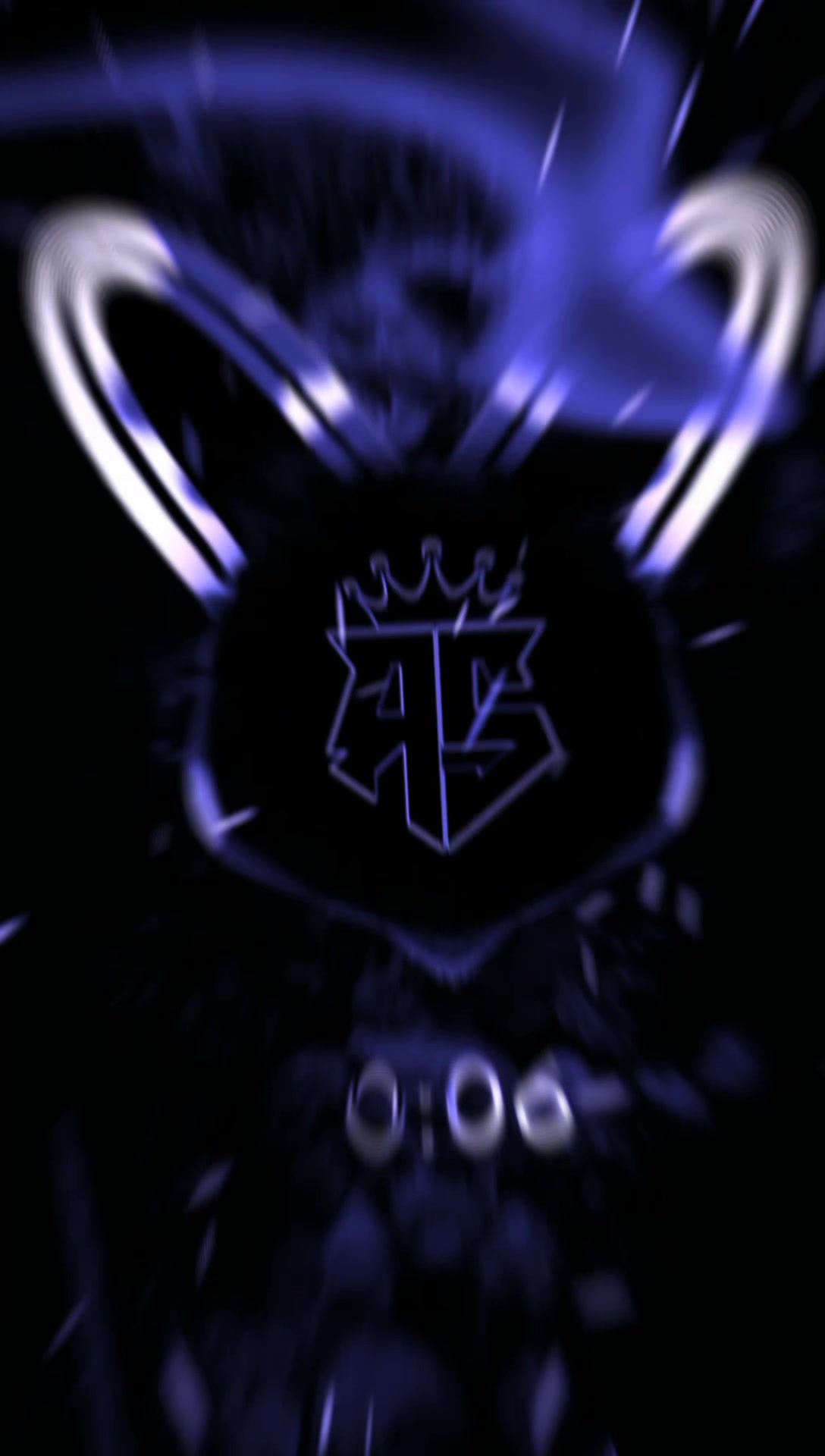 @RS PHONK