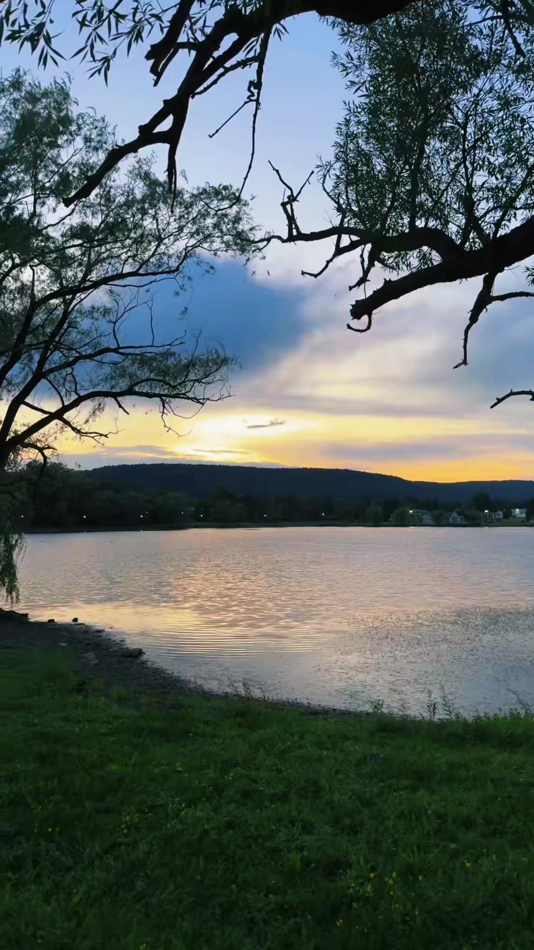 @𝓑𝓮𝓬𝓴𝔂 𝓐𝓷𝓷 🌅💜🐩🍃