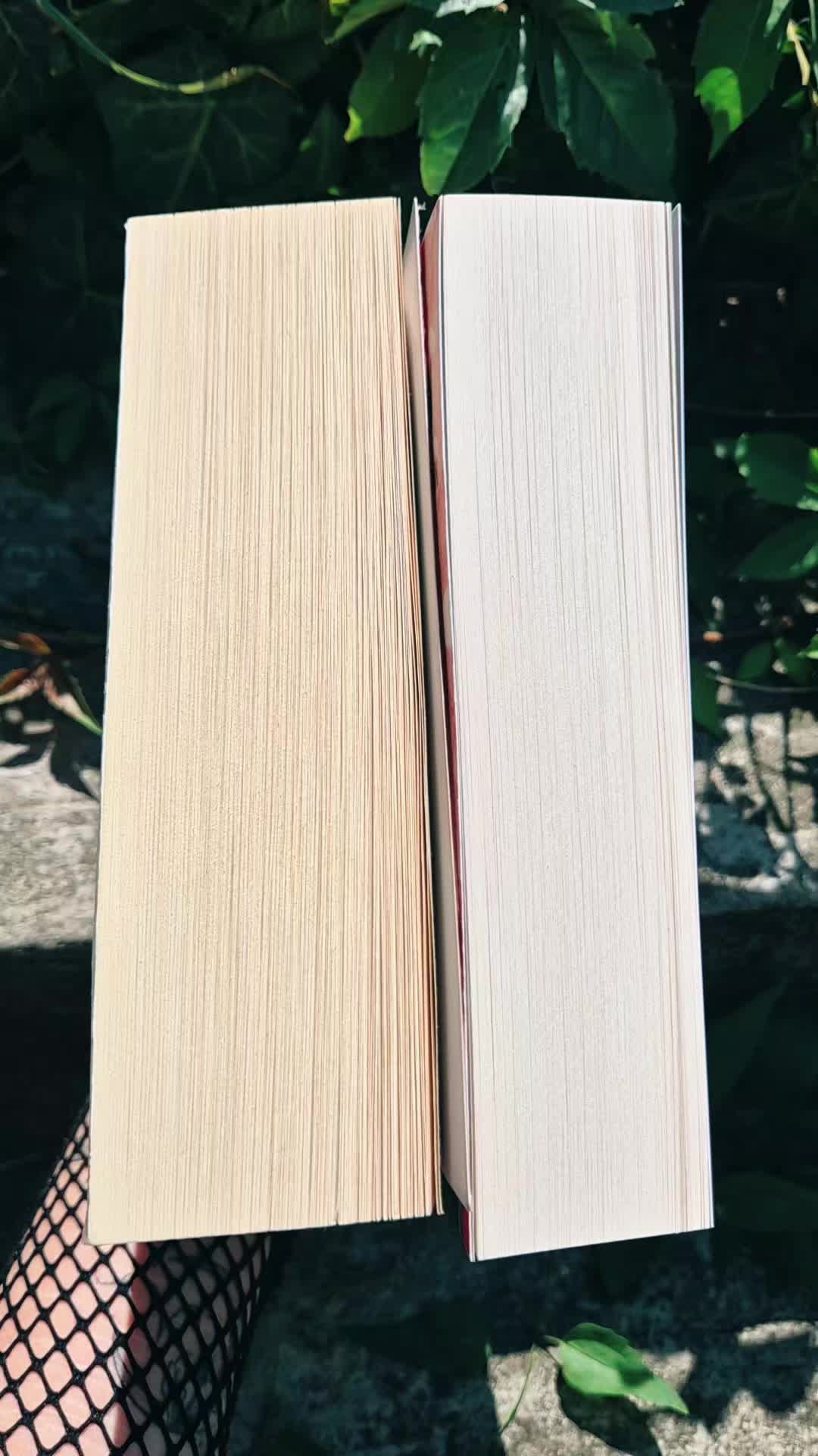 @Mezőföldi Pitypang író✍️