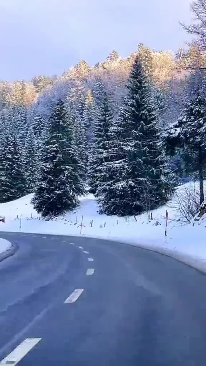 @Anca❤️ Raluca