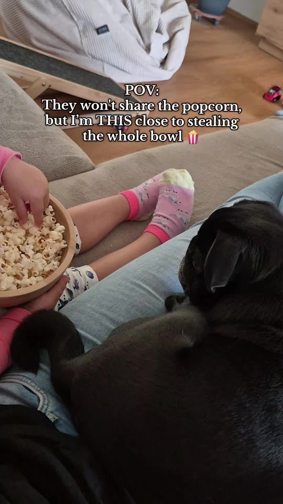 @lovelypug.kiba