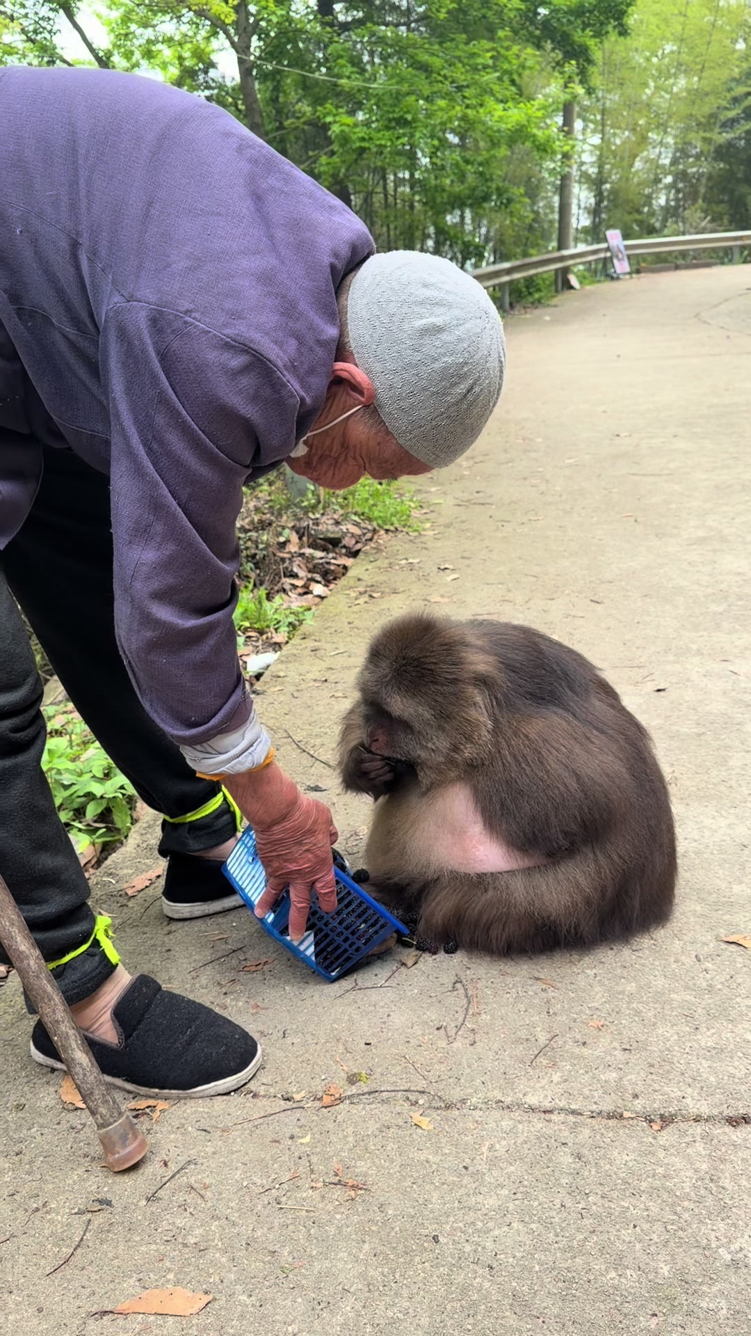 @xingxing.themonkey