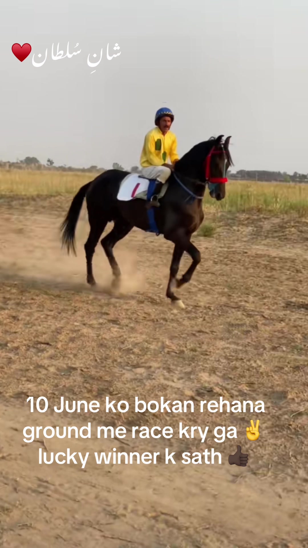@Ch Hammad bokan ♥️🐎