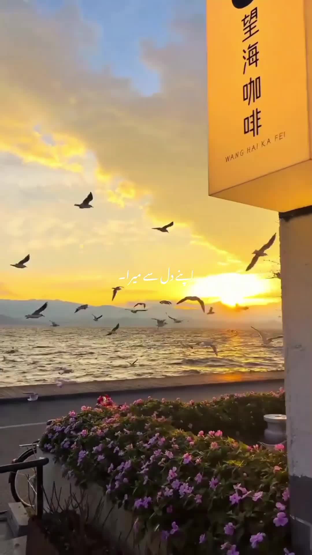 @𝙐𝙙𝙖𝙨𝙨 𝙭 𝘼𝙚𝙨𝙩𝙞𝙭