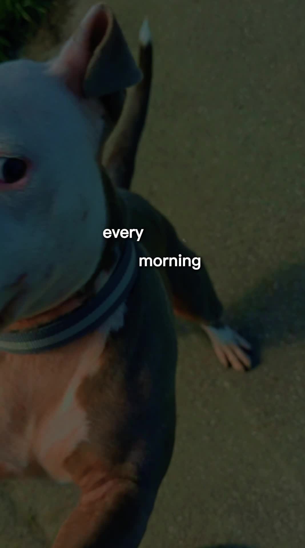 @Jack and Dorothy