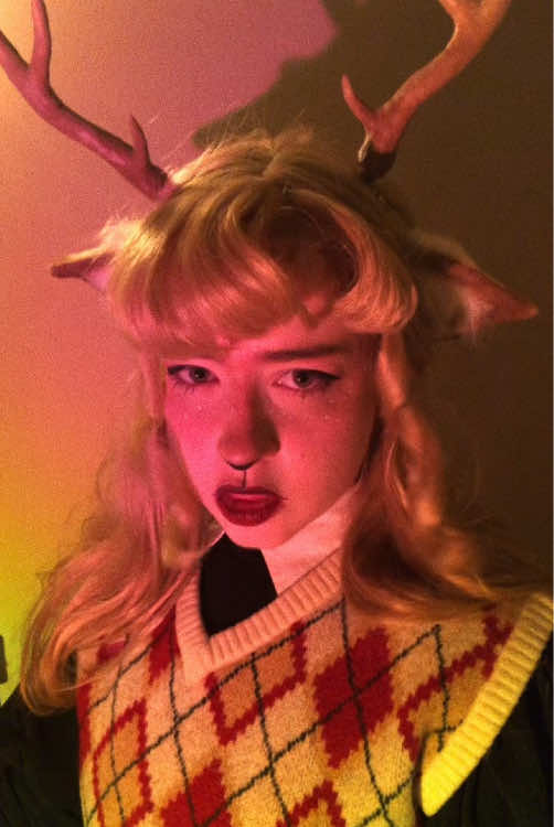 @aurora 🌙