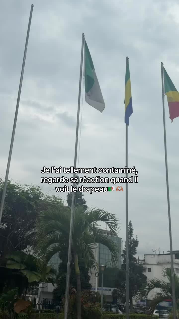 @F.eriel.Ondele🇩🇿