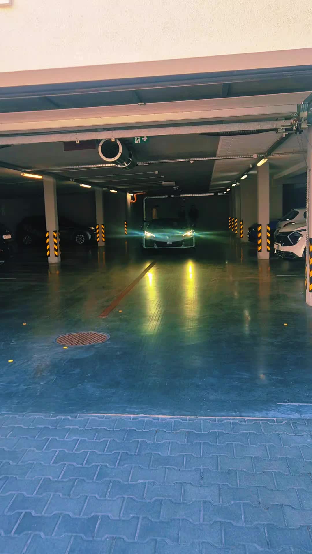 @Golden Cars
