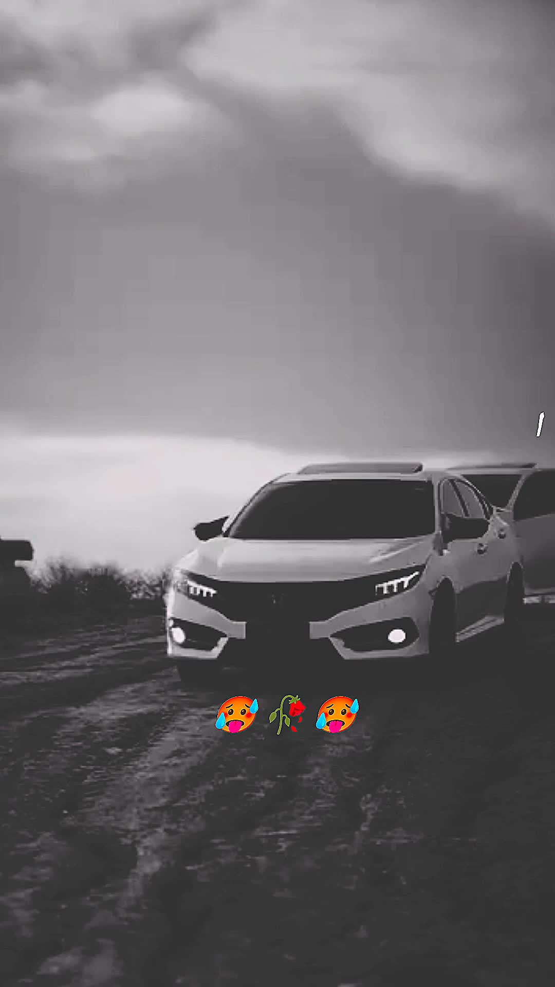 @meyerccontent755