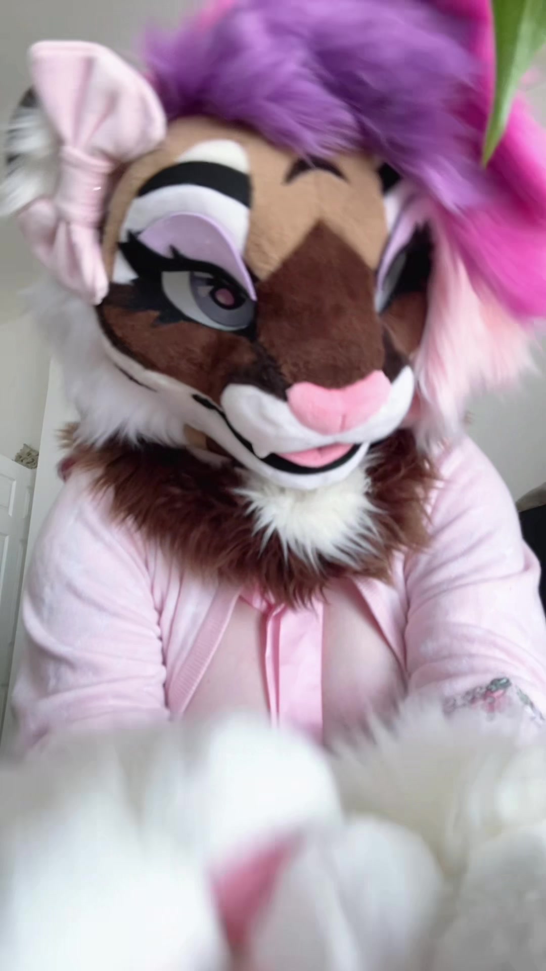 @🤍🎀 𝓐𝓷𝓰𝓮𝓵 🎀🤍CFZ2026