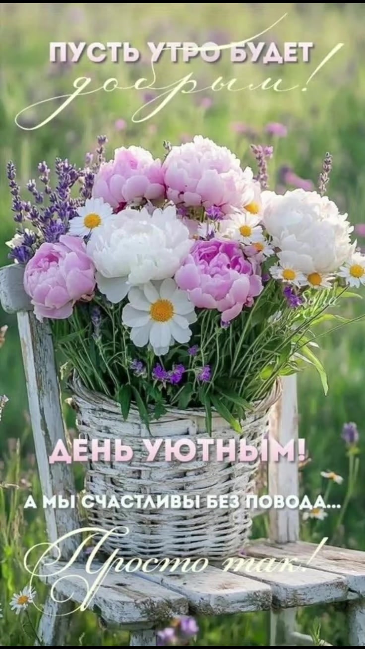 @Маргарита Шнейдерова