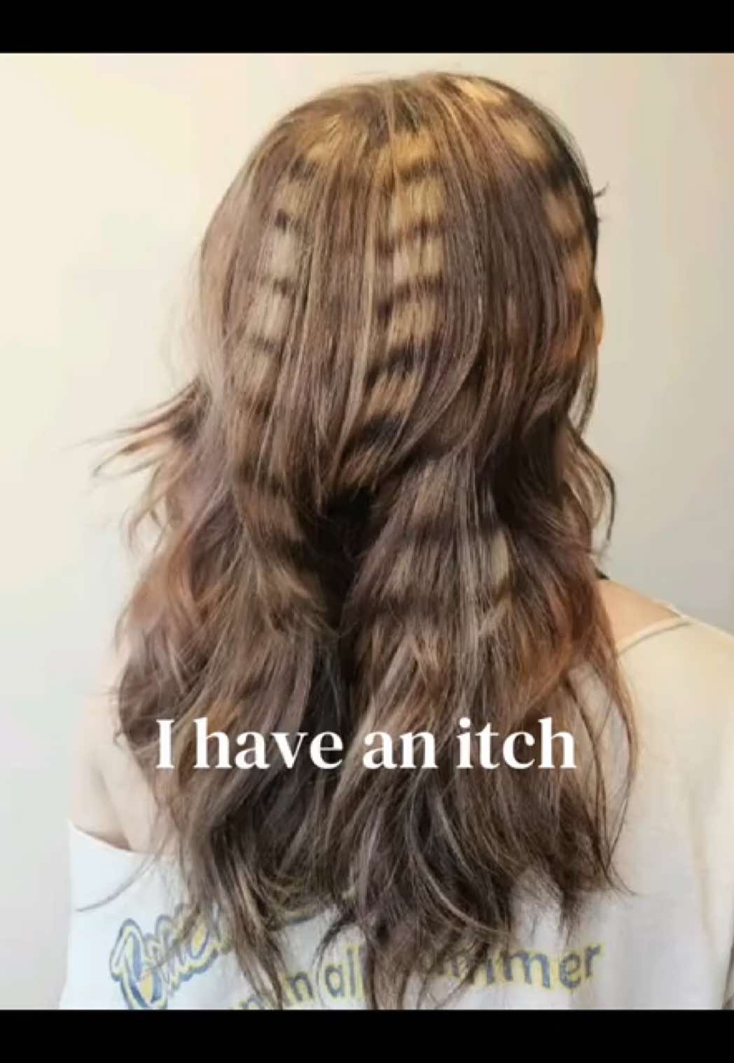 @🪽